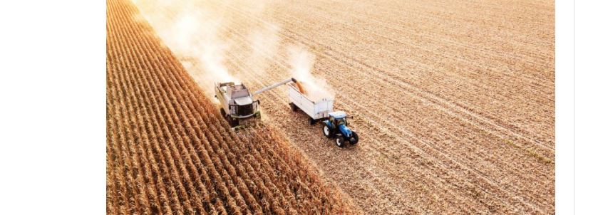 COMÉRCIO EXTERIOR: Exportações do agronegócio batem recorde em dezembro e no ano de 2021