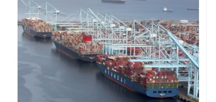 PORTO: Café brasileiro tem demorado 4 meses para chegar nos EUA e problemas vão além da crise na logística marítima