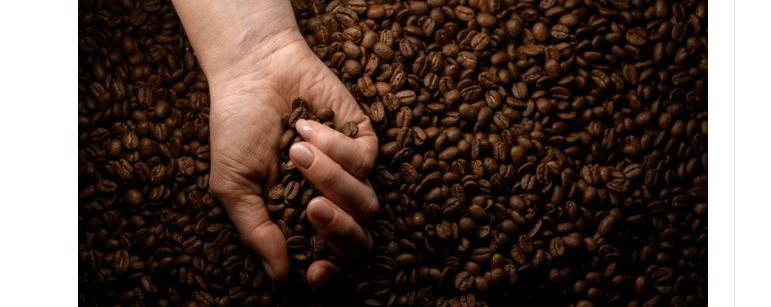 CAFÉ: Evento em São Paulo vai debater padrão de classificação do café torrado