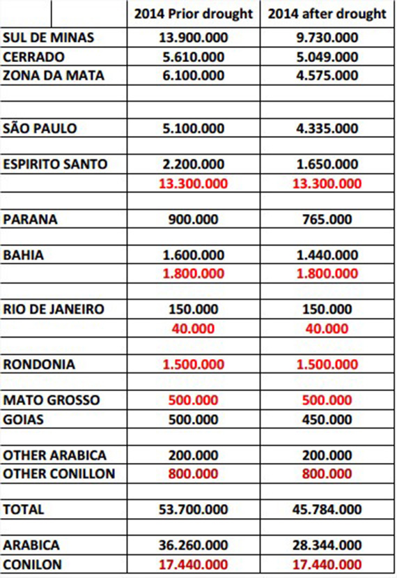 Café: relatório da exportadora Terra Forte prevê safra total em 45,78 milhões, sendo 28,34 milhões de arábica