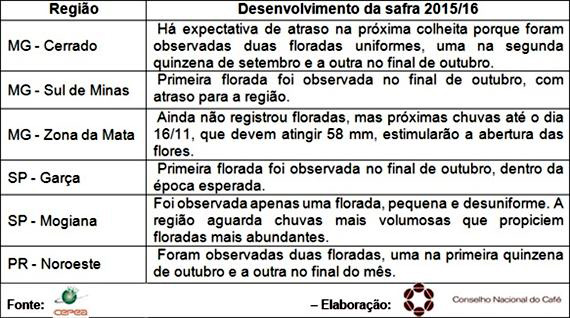 Impacto desta estiagem no mercado de café foi inédito, enfatiza analista