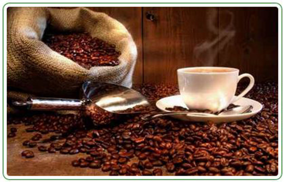 Política - Informações sobre qualidade do café poderão ser obrigatórias em embalagens