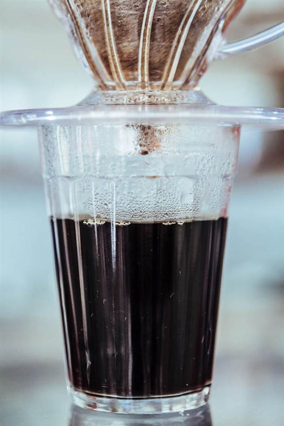 Café: Número de indústrias nacionais cai 9% enquanto processo de concentração cresce